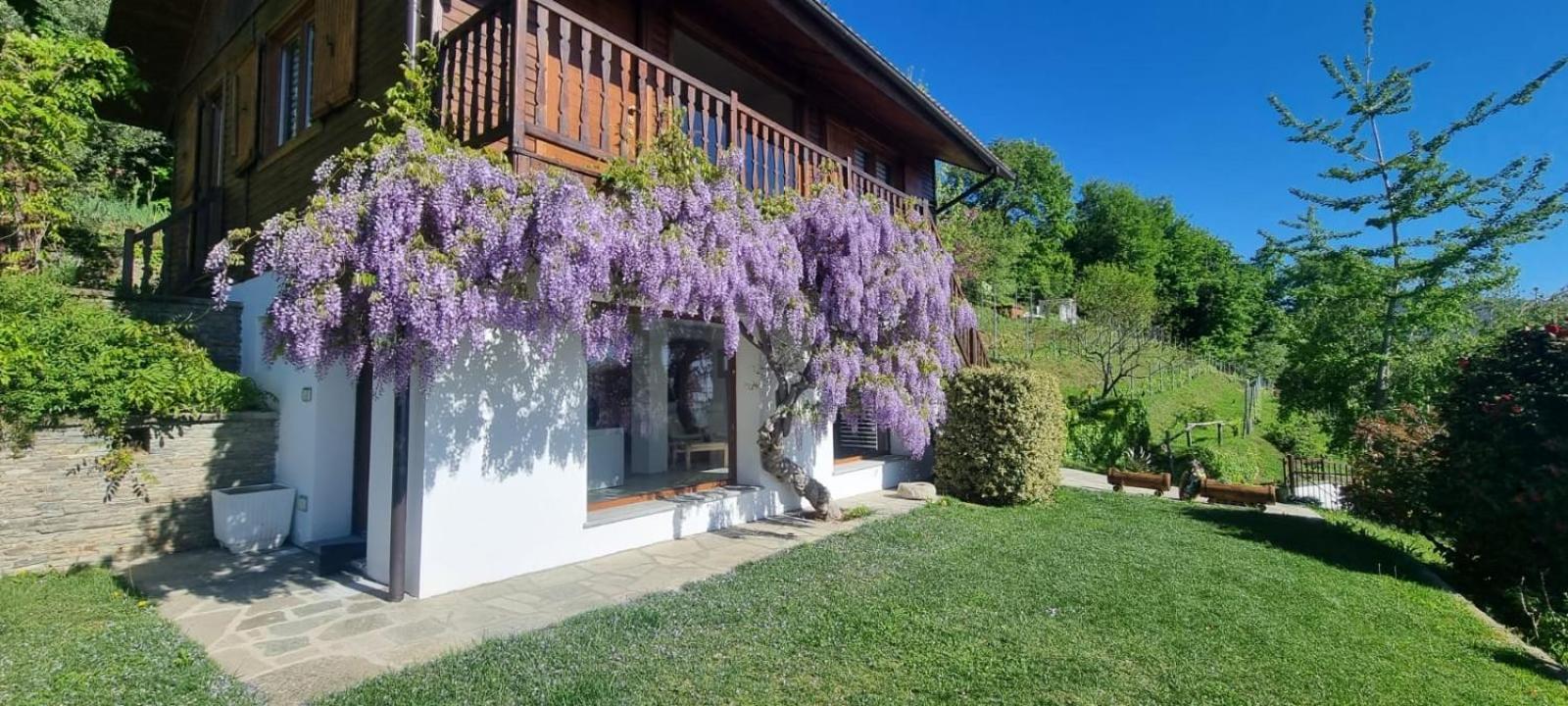 Chalet Sophie - Luxury Chalet Roletto Eksteriør bilde